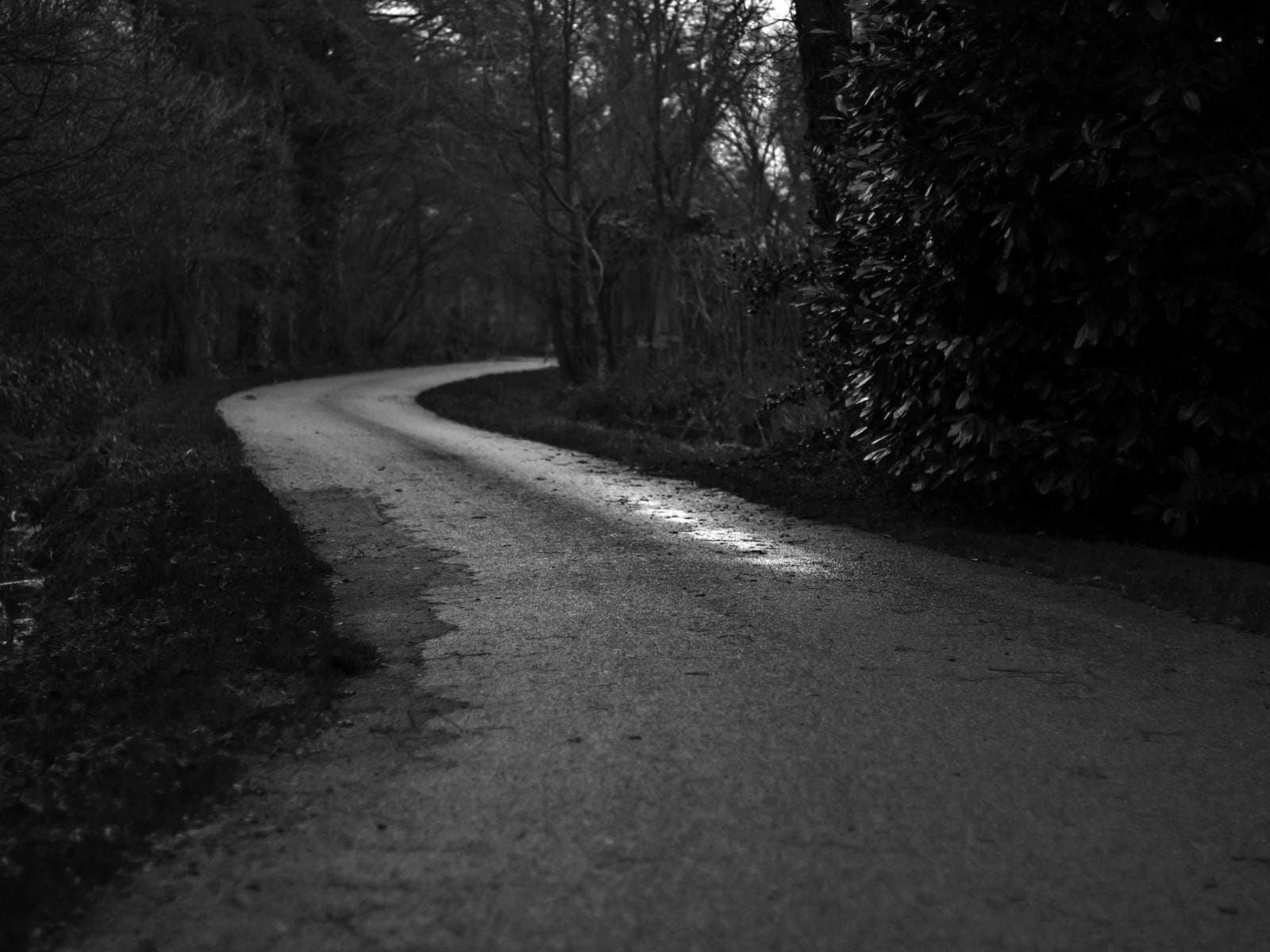 Nasse Straße bei Nacht, Licht auf dem Kopfsteinpflaster. Foto: Tirza van Dijk